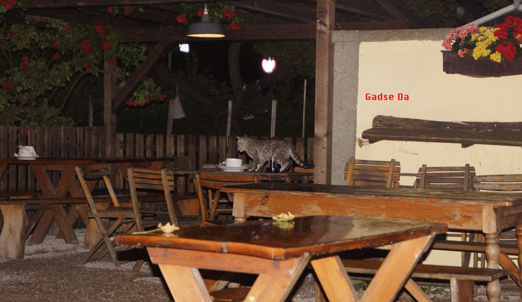 Gadse da - Gadse weg